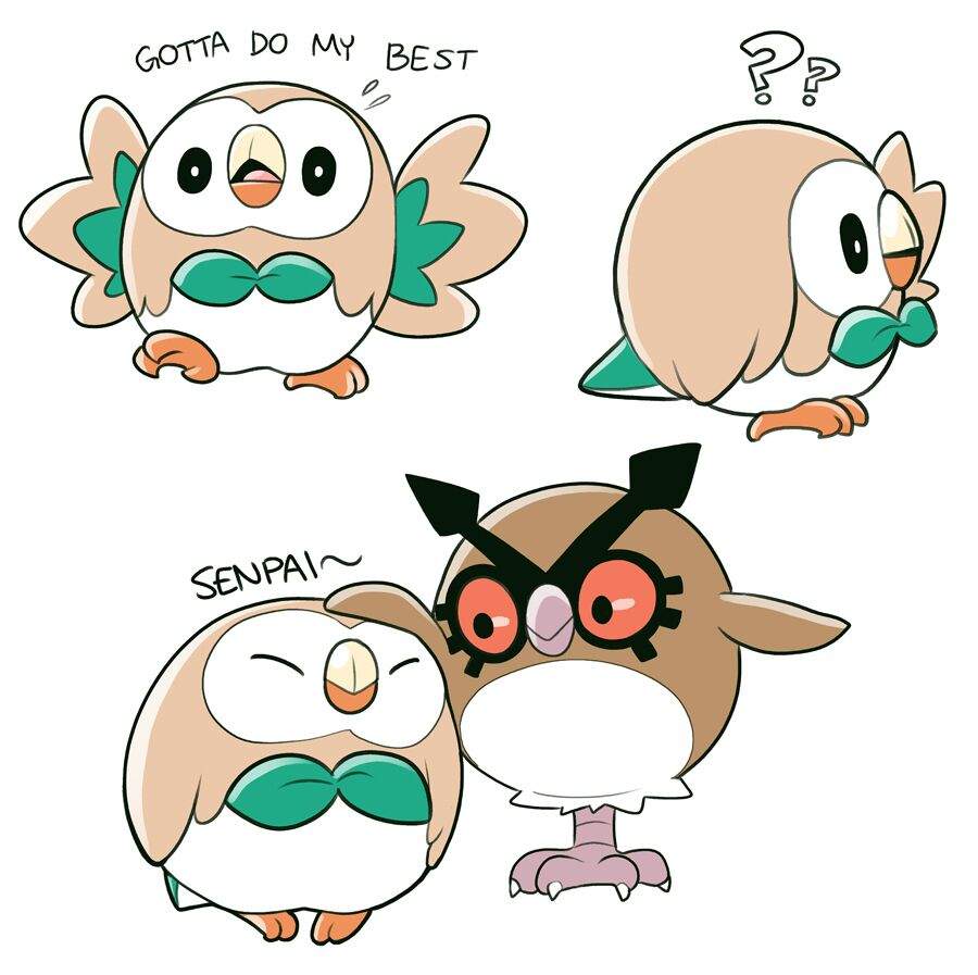 Rowlet Memes Pokémon Amino 7862