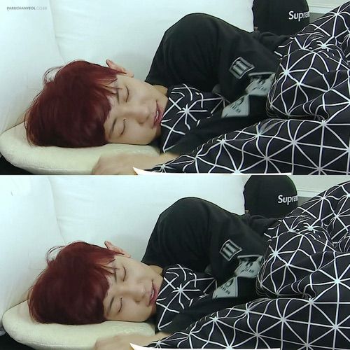 Chanyeol Sleeping  Appreciation EXO   Amino