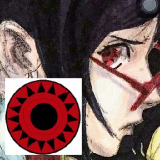 🌀Teoria: Mangekyou Sharingan de Sarada🌀 | •Naruamino• Amino