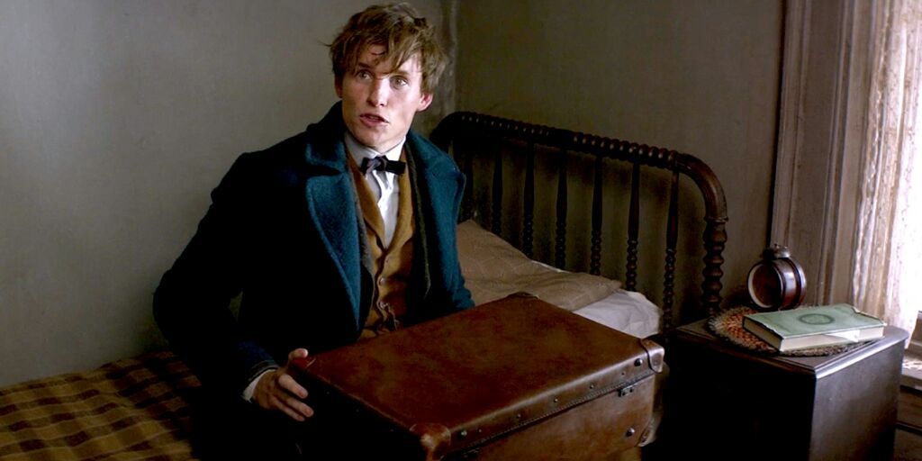 newt-scamander-wiki-geek-spot-amino