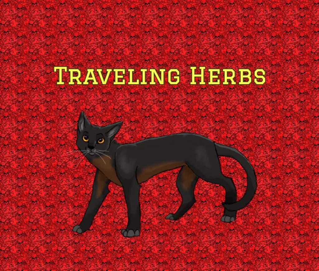 Traveling Herbs Warrior Cats Amino Amino