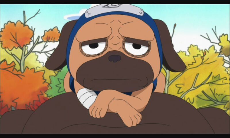 Pakkun Wiki Naruamino Amino