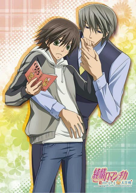 Junjou Romantica Animeflv