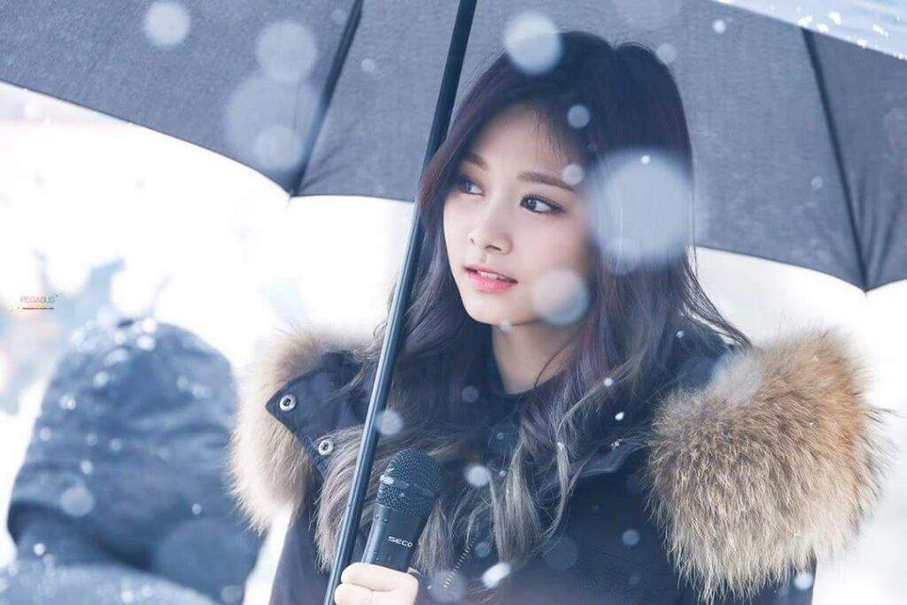 🍭Twice during Korea's first snowfall🍭 | K-Pop Amino