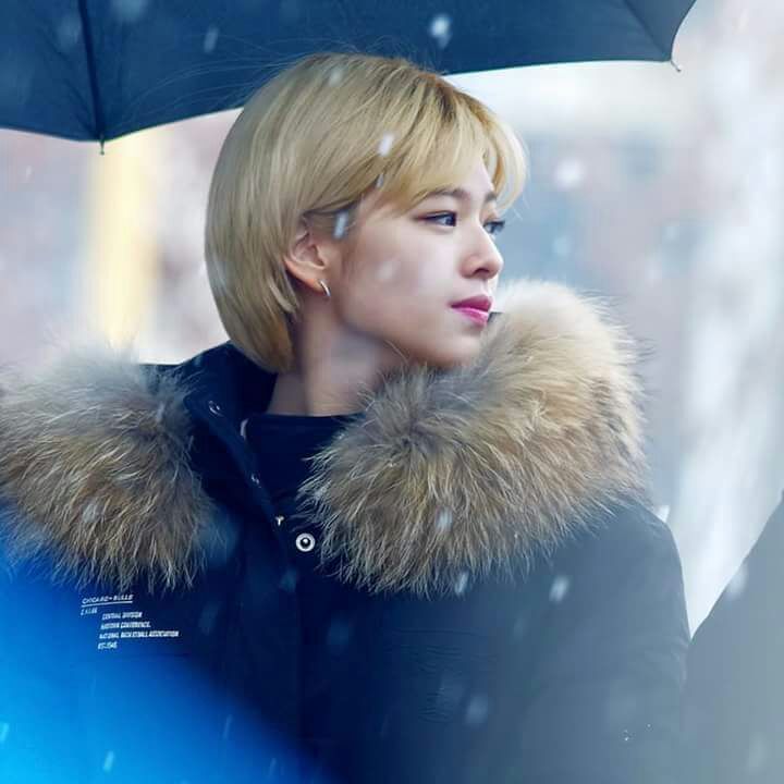 🍭Twice during Korea's first snowfall🍭 | K-Pop Amino