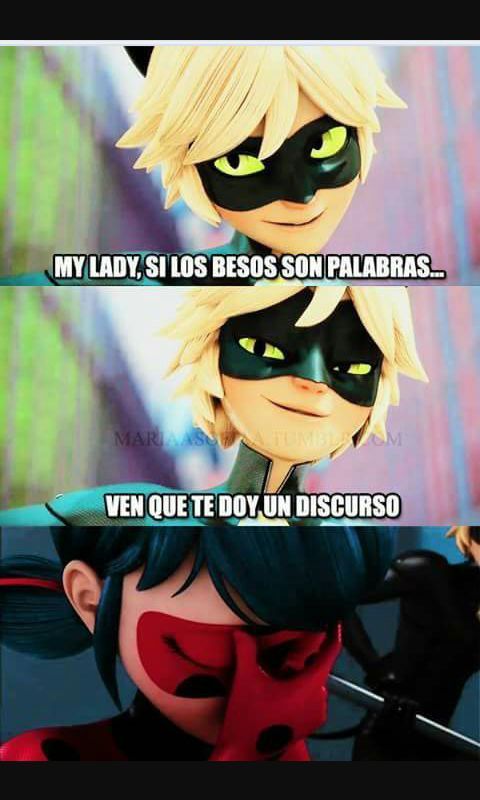 Memes 2 | •Miraculous Ladybug Español• Amino