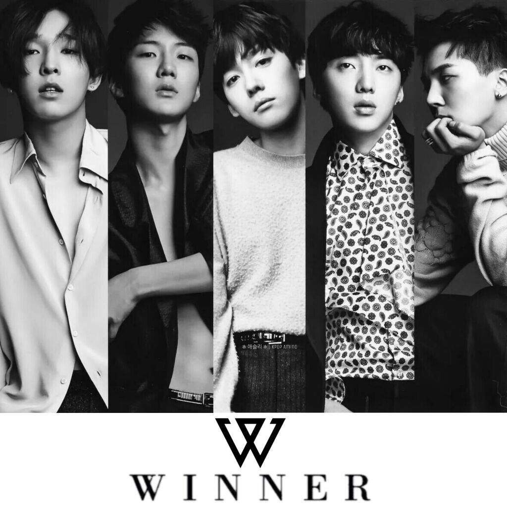 Hasil gambar untuk winner kpop