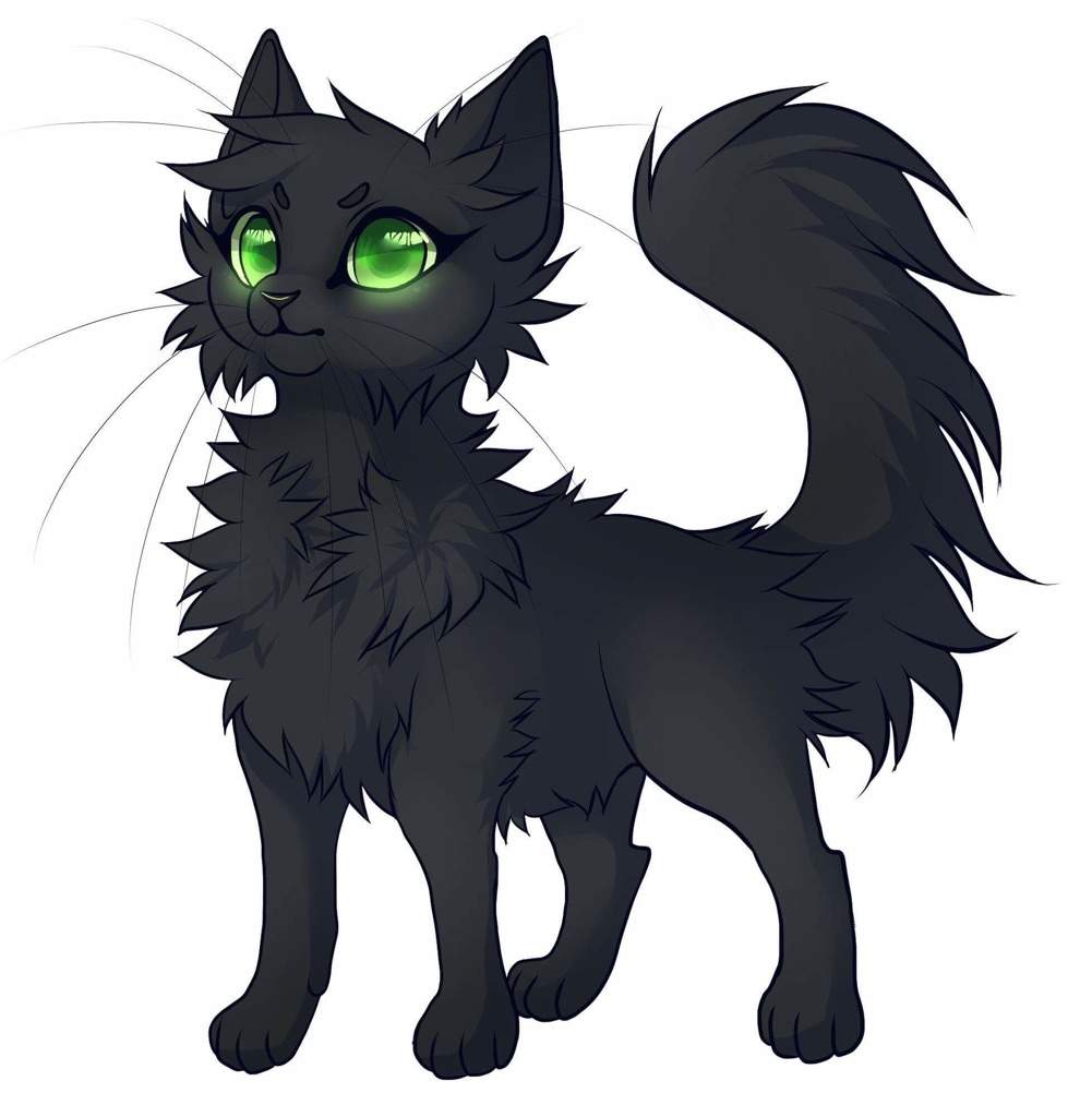 #1: Hollyleaf | Warriors Amino