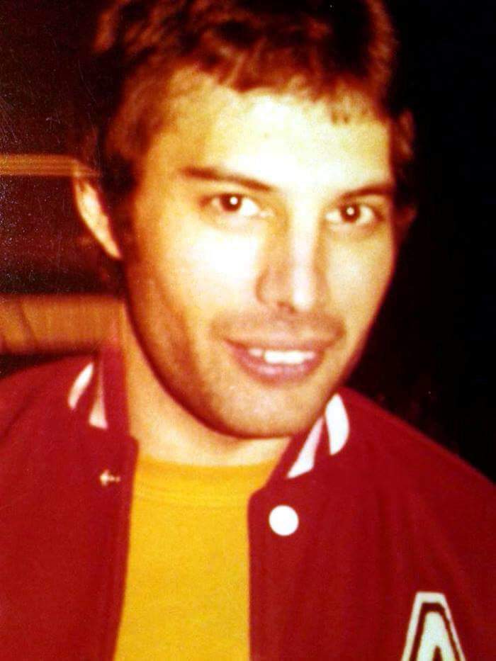 Freddie Mercury 3 Music Amino
