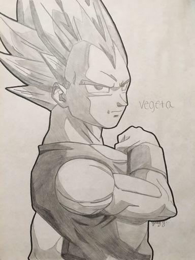 Old DBZ Drawings | Wiki | Anime Amino