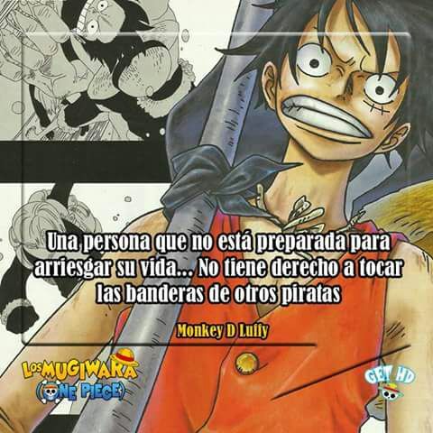 Monkey D. Luffy | •One Piece• Amino