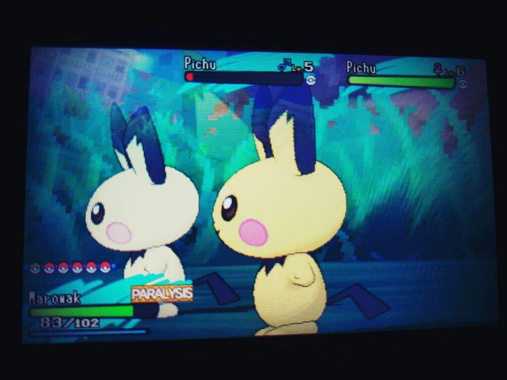 Pokemon Moon Shiny Pichu Shiny Pokemon Amino Amino