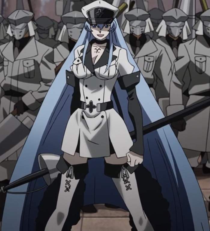 general esdeath figure