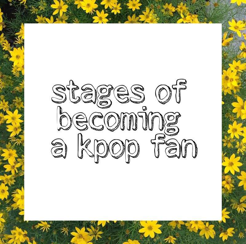 💠Stages of being a Kpop fan💠 KPop Amino