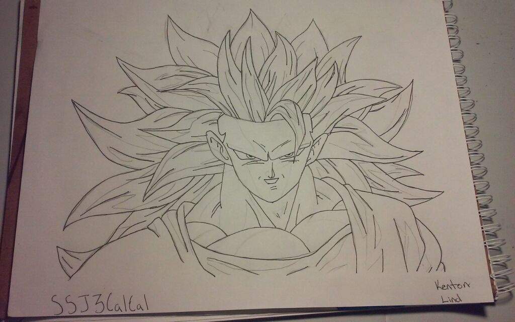 Ssj3 Goku Drawing Dragonballz Amino