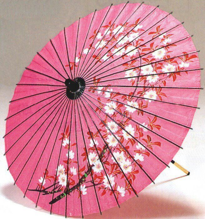 japanese-umbrella-types-japan-amino