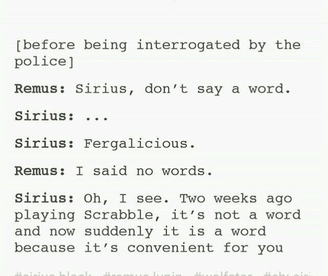 Remus and Sirius | Harry Potter Amino