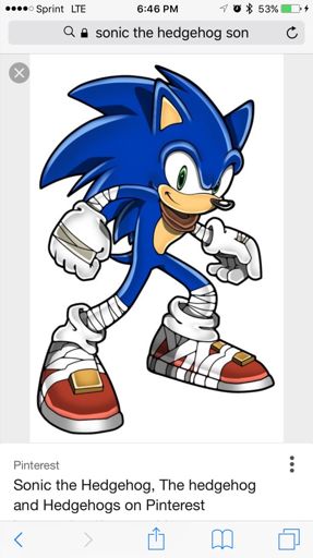 Brice The Hegdgehog | Wiki | Sonic the Hedgehog! Amino