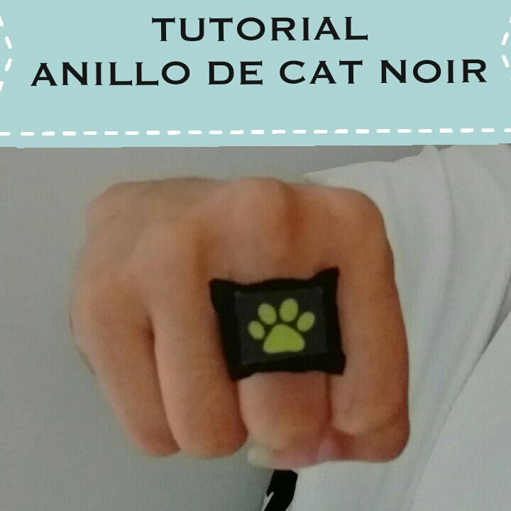 🐾TUTORIAL ANILLO DE CAT NOIR🐾 •Miraculous Ladybug