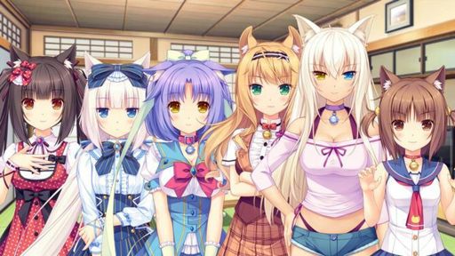 Nekopara | Wiki | Anime Amino