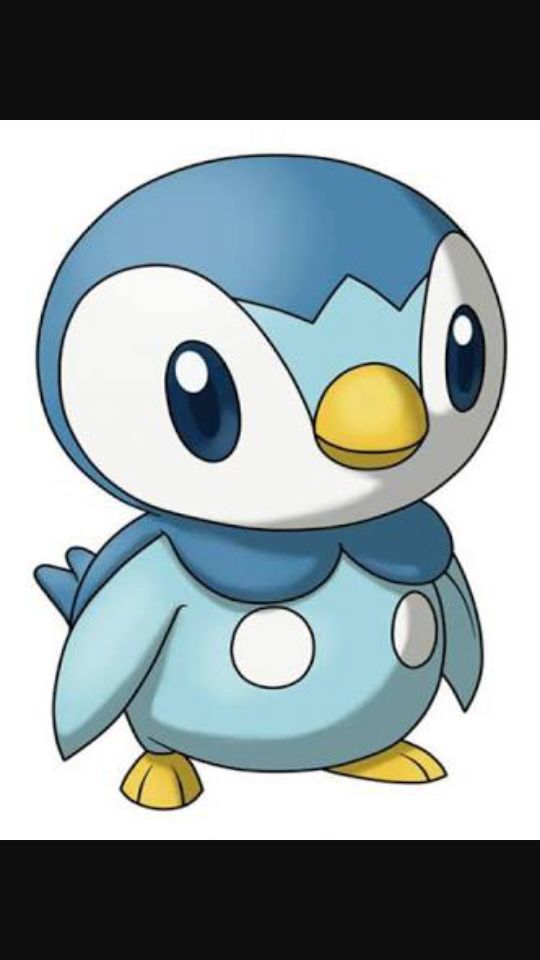 Un pingüino | •Pokémon• En Español Amino