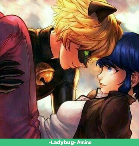 Cat nuar y su amor | Wiki | •Miraculous Ladybug Español• Amino