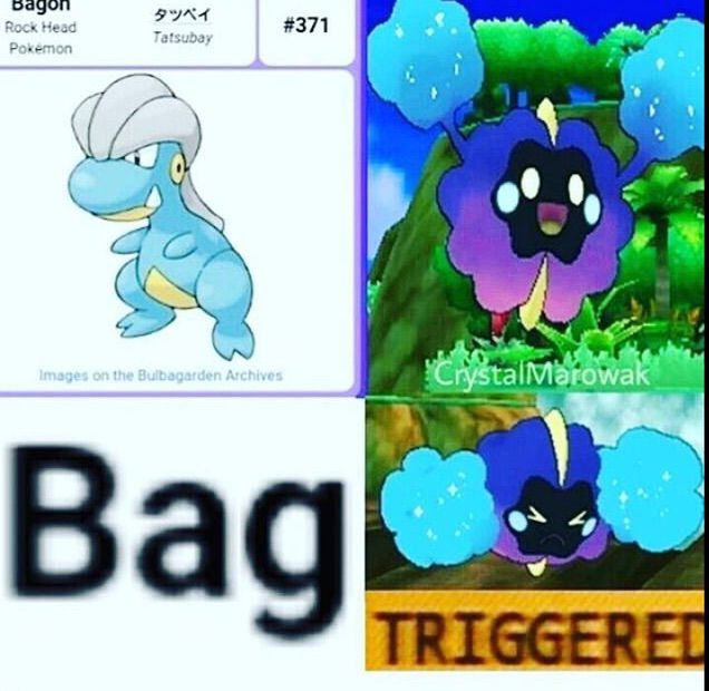 GET IN THE BAG NEBBY! | Pokéverse™ Amino