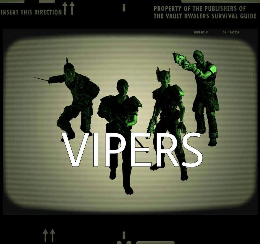 fallout new vegas vipers