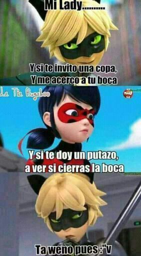 Imágenes chistosas | Wiki | •Miraculous Ladybug Español• Amino