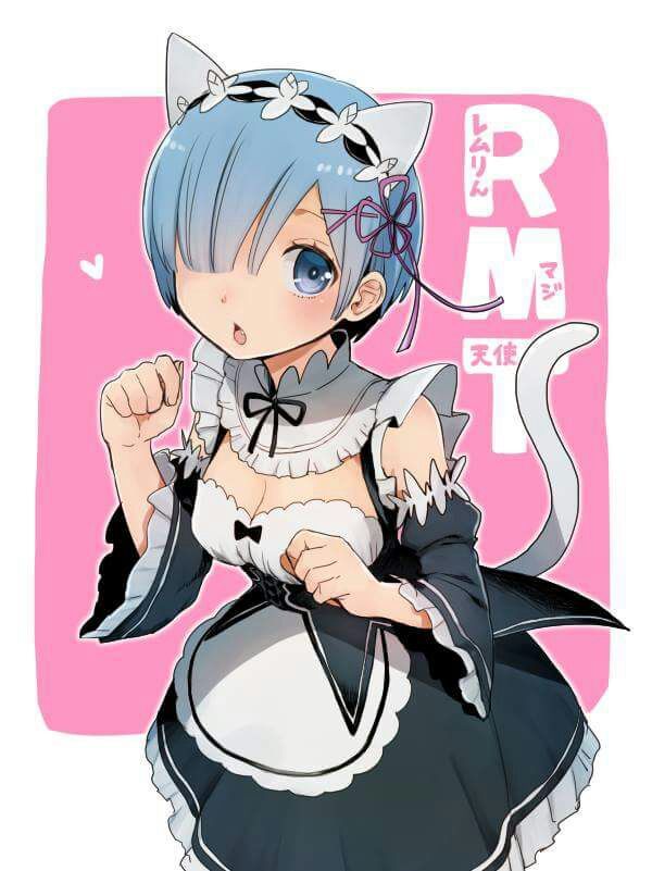 re zero neko