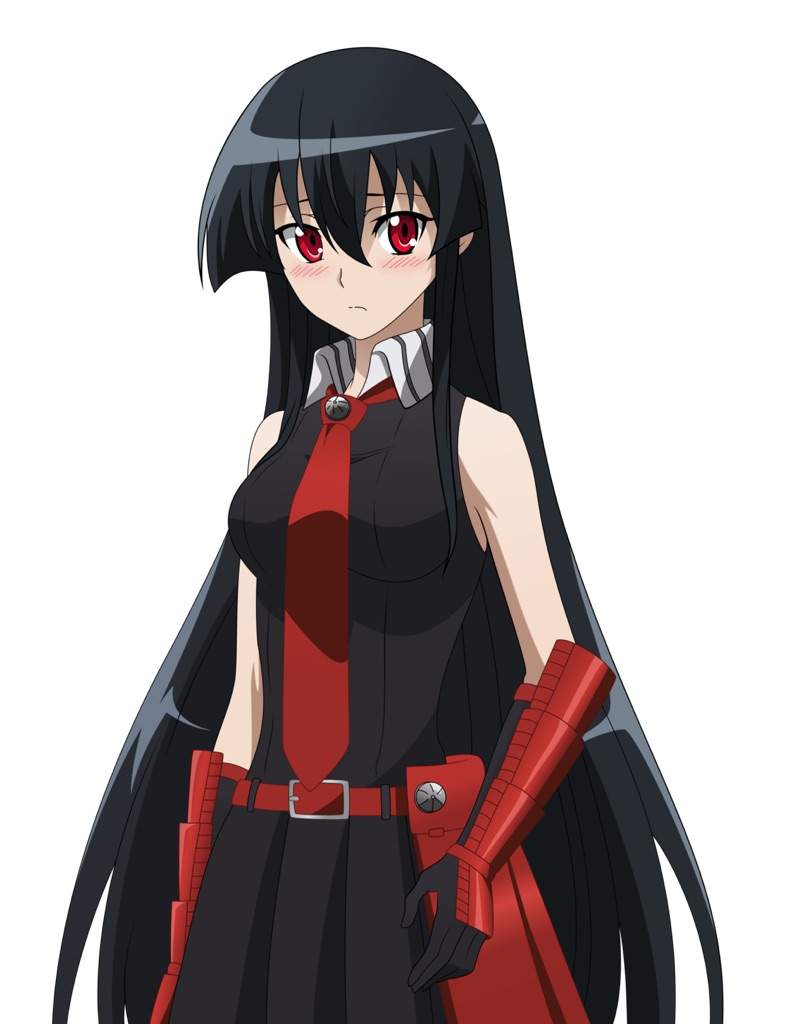 Akame Wiki •anime• Amino