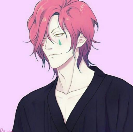 Hisoka is hot when he has his hair down!He like to have his hair down...