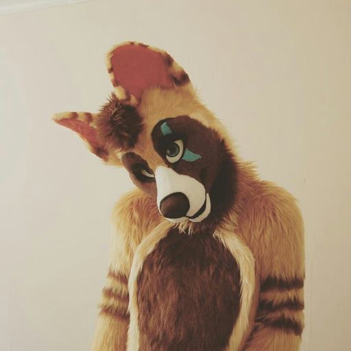 Murrsuit Porn Corey Coyote