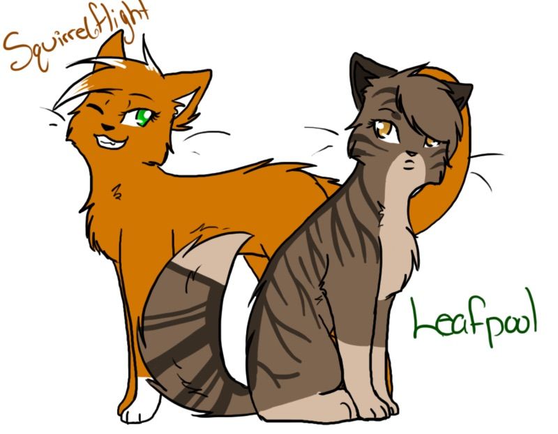 20 Warriors Questions | Warrior Cats Amino Amino