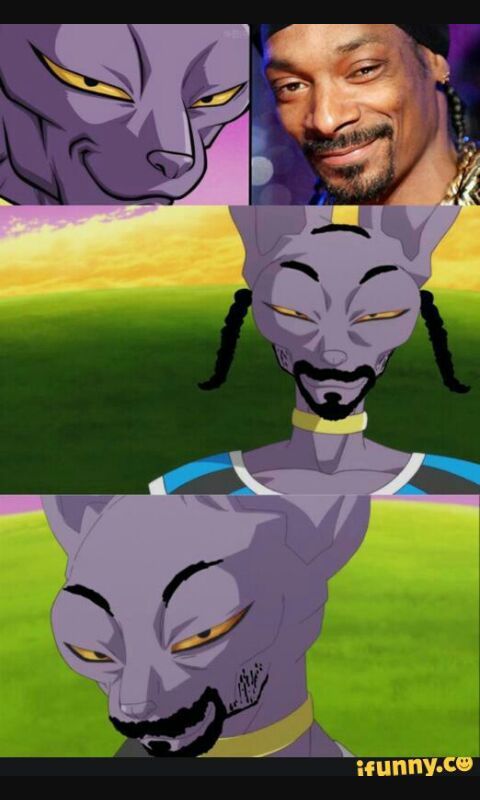 Snoop Beerus cusin of Beerus | Wiki | DragonBallZ Amino