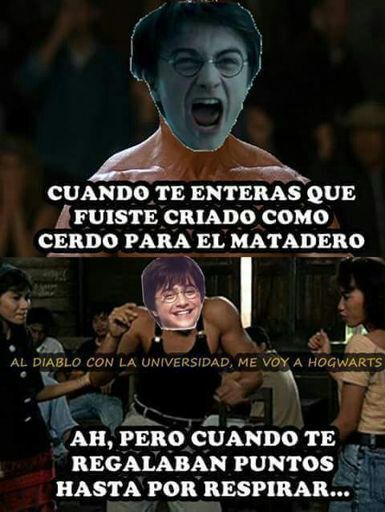 MEMES DE HARRY POTTER  •Harry Potter• Español Amino