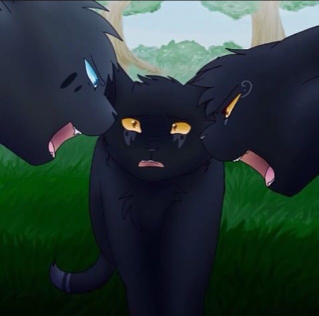 Crowfeather Couples Rant Warriors Amino