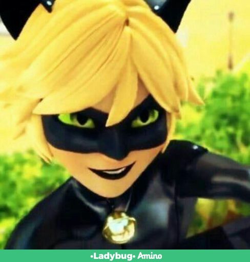 CoPi GaTo | Wiki | •Miraculous Ladybug Español• Amino