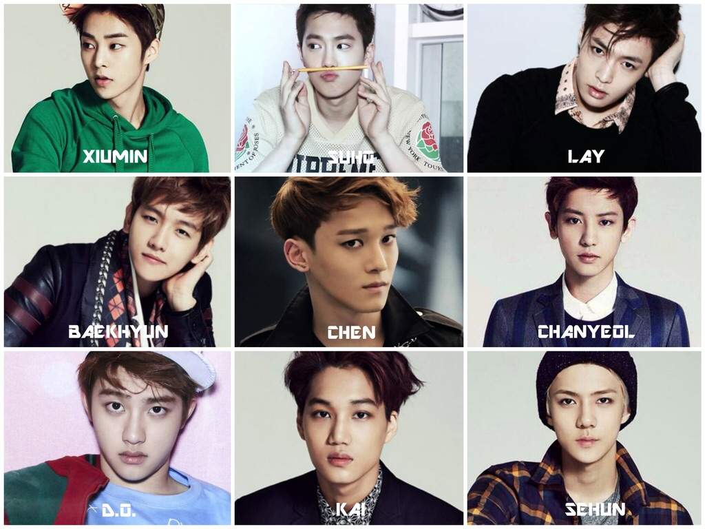 Who is your EXO  bias K Pop Amino