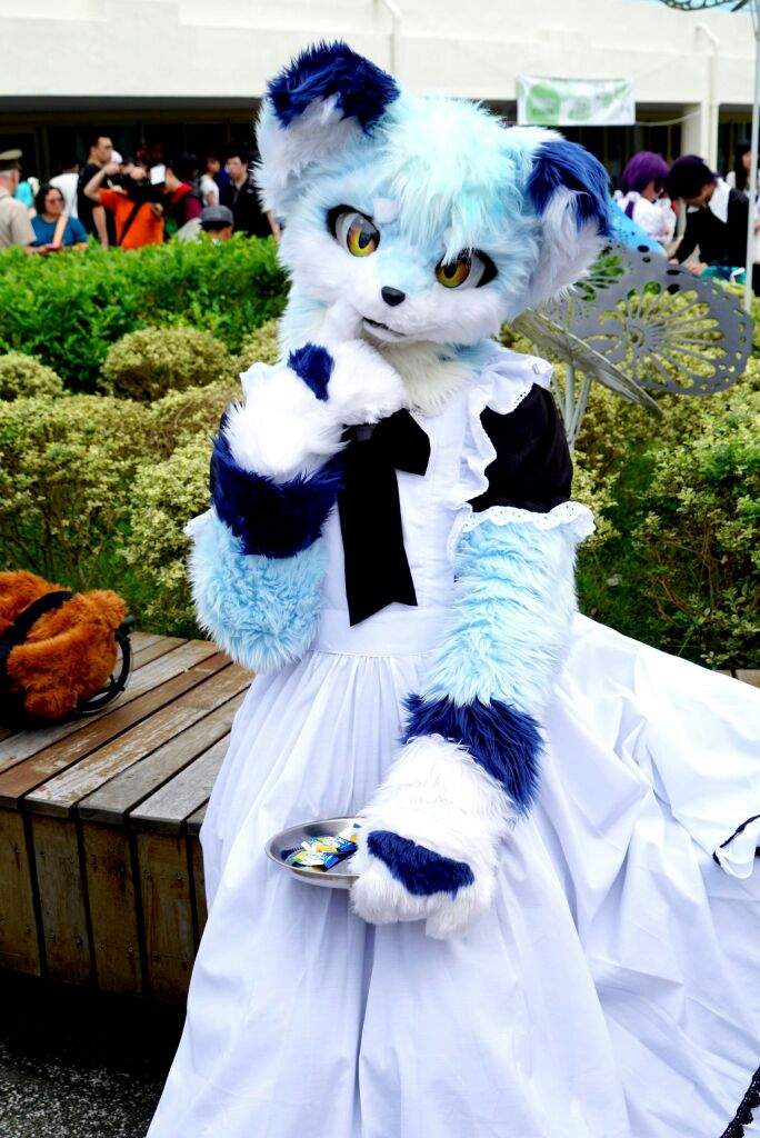 Kemono Fursuit Google Search Furry Art Furry Costume - vrogue.co