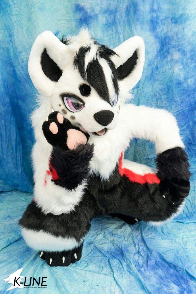 Kemono fursuits furry amino