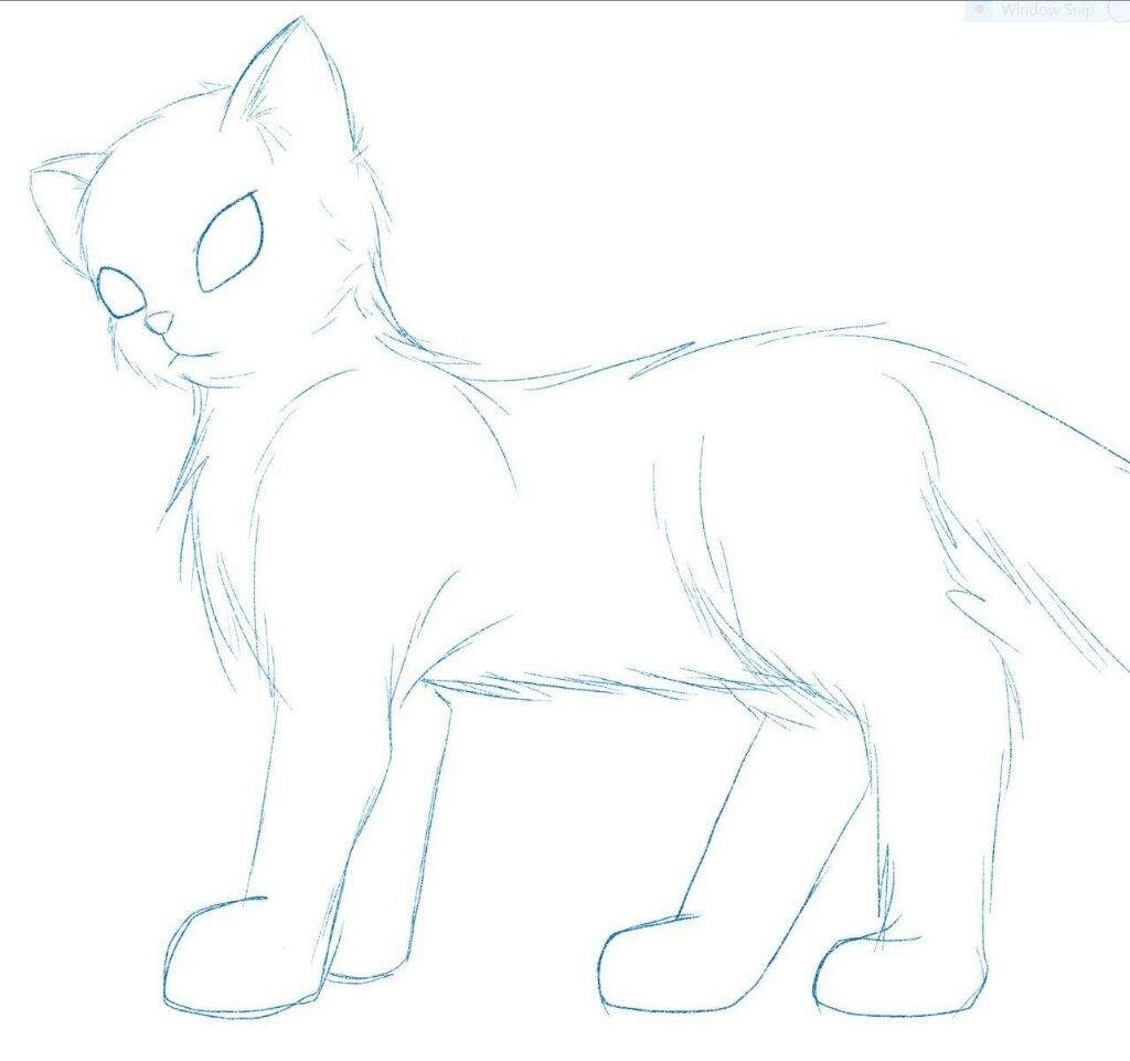 cat-sketch-please-critique-creations-amino-amino