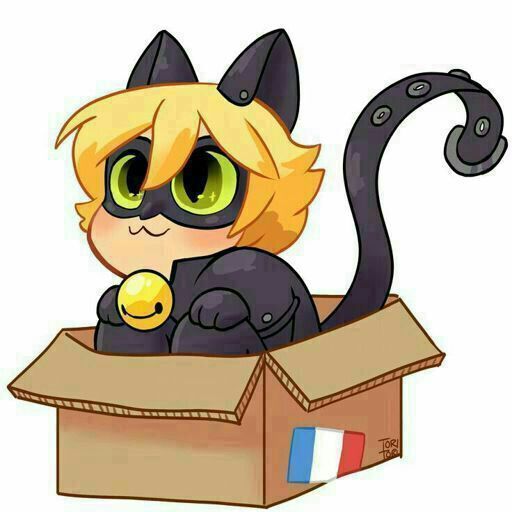 photo bebe chat noir