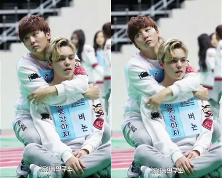 My Favorite Seventeen Ships K Pop Amino My Favorite Seventeen Ships K Pop Amino