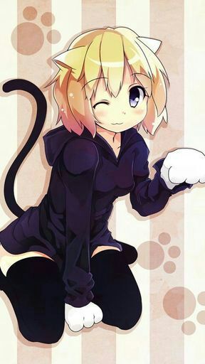 Nekos Wiki •anime• Amino