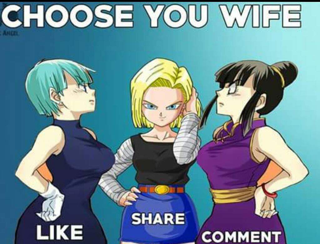 Who Would You Choose As Your Wife Chi Chi Bulma 18 Dragonballz Amino Who Would You Choose As Your Wife Chi Chi Bulma 18 Dragonballz Amino