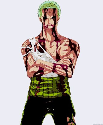 Zoro es el tipo de persona | •One Piece• Amino