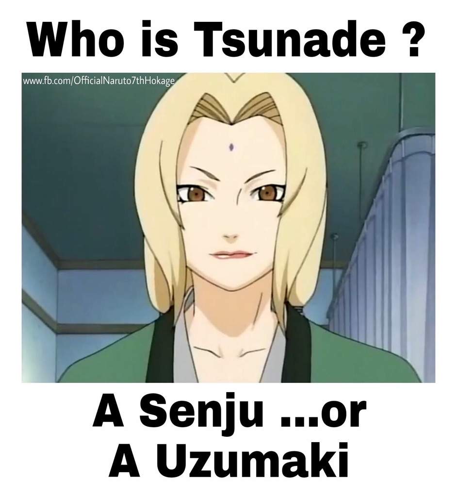 What is Tsunade.