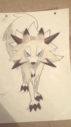 Nuevo dibujo! LYCANROC | Cartoon Amino Español Amino