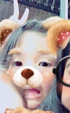 TRAINEE PROFILE | Wiki | Trainee Life Amino